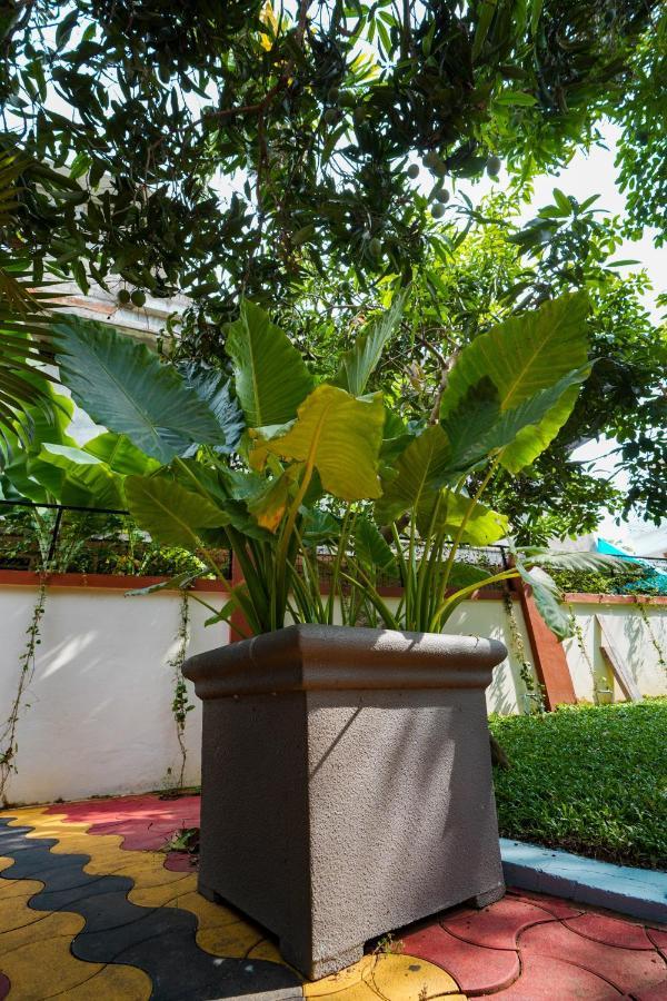 Parudeesa - Heavenly- Luxurious Palace Look-Near Cbd - Kerala - India With Breakfast Kaladi Exterior photo